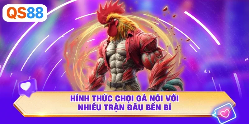 Hình thức chọi gà nòi với nhiều trận đấu bền bỉ
