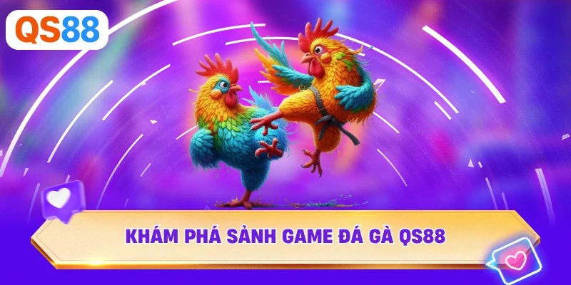 Khám phá sảnh game đá gà QS88